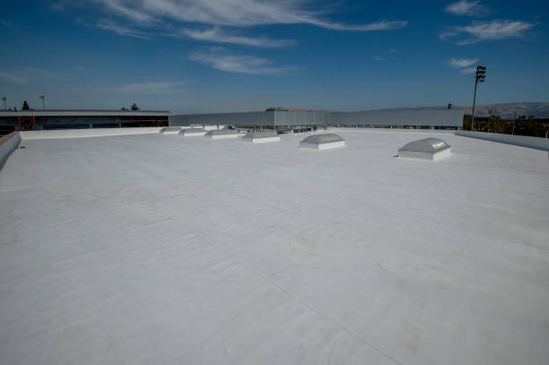 Best Green or Eco-Friendly Roofing Solutions  in Dunbar, SC