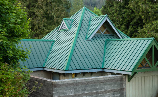 Best Roof Maintenance and Cleaning  in Dunbar, SC