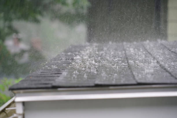 Best Rubber Roofing (EPDM, TPO)  in Dunbar, SC