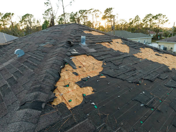 Best Storm Damage Roof Repair  in Dunbar, SC