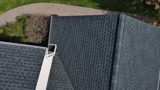 Best Roof Insulation Installation  in Dunbar, SC