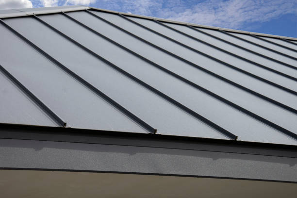 Best Asphalt Shingle Roofing  in Dunbar, SC