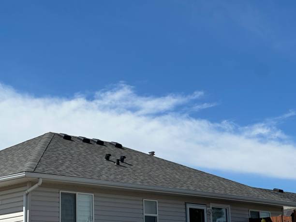 Best Metal Roofing Installation  in Dunbar, SC